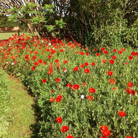 לינה וארוחת בוקר Chabris La Pause - Val De Loire מראה חיצוני תמונה